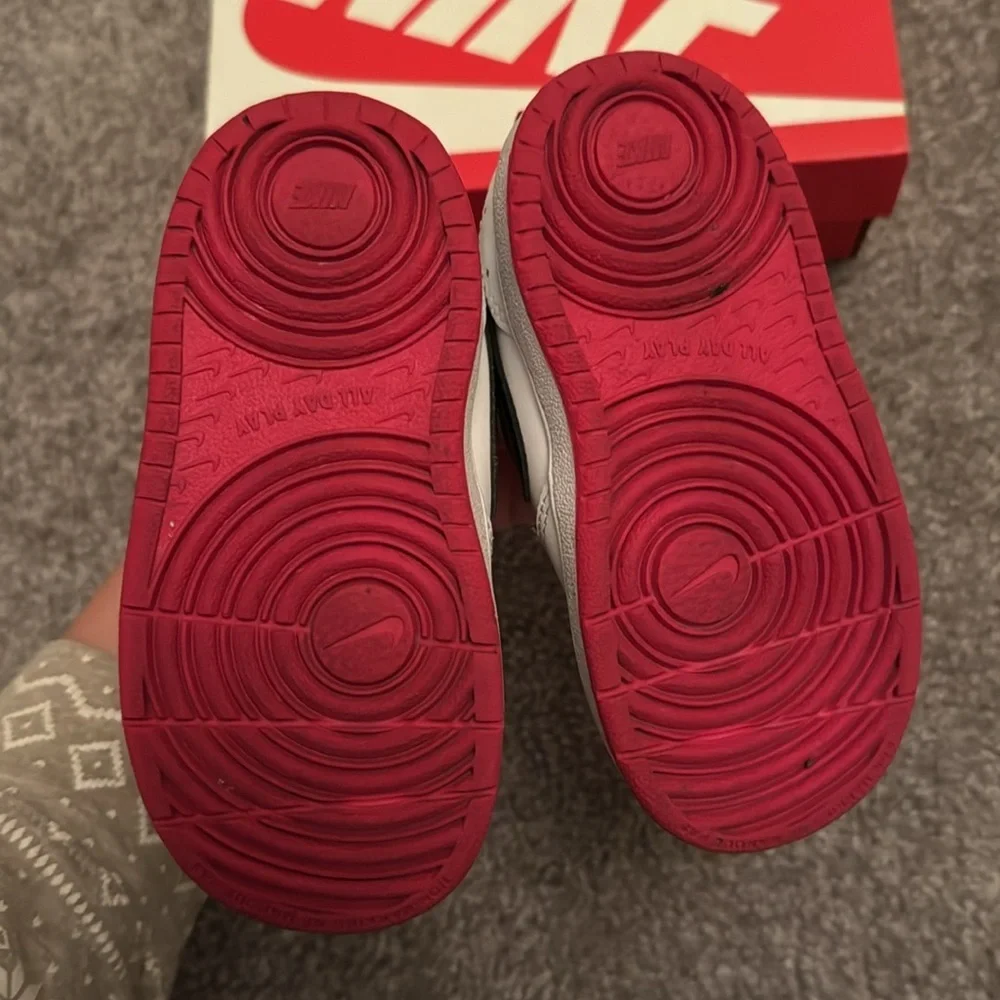 Nike Court Borough Low 2 SE